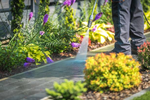 Reliable Long Branch, NJ Pressure Washing Services Solutions